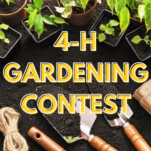 Gardening Contest